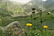 89 Lago di Valsambuzza (2085 m)